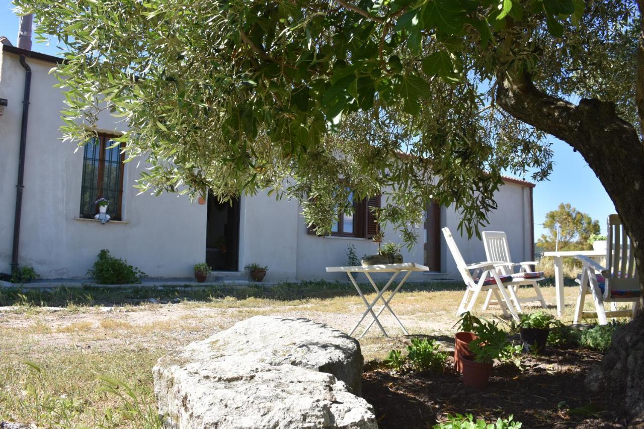 Su Cuile Historical Country House With Barbecue Martis Екстериор снимка